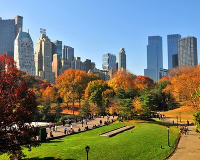 central park - Españoles en Nueva York